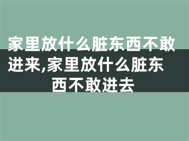 家里放什么脏东西不敢进来,家里放什么脏东西不敢进去