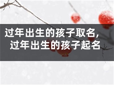 过年出生的孩子取名,过年出生的孩子起名