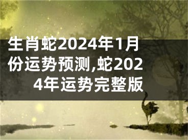 生肖蛇2024年1月份运势预测,蛇2024年运势完整版