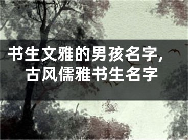 书生文雅的男孩名字,古风儒雅书生名字