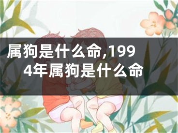 属狗是什么命,1994年属狗是什么命