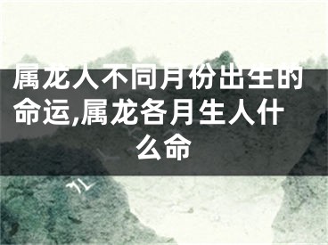 属龙人不同月份出生的命运,属龙各月生人什么命