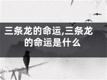 三条龙的命运,三条龙的命运是什么