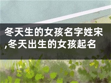 冬天生的女孩名字姓宋,冬天出生的女孩起名