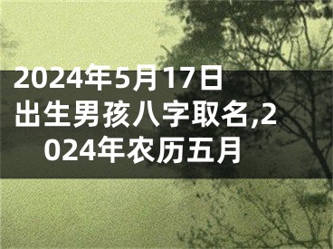 2024年5月17日出生男孩八字取名,2024年农历五月