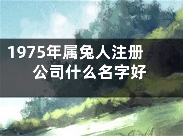 1975年属兔人注册公司什么名字好