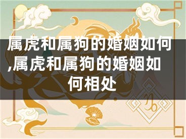 属虎和属狗的婚姻如何,属虎和属狗的婚姻如何相处