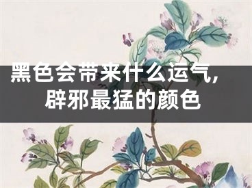 黑色会带来什么运气,辟邪最猛的颜色