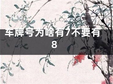 车牌号为啥有7不要有8