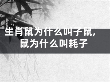 生肖鼠为什么叫子鼠,鼠为什么叫耗子