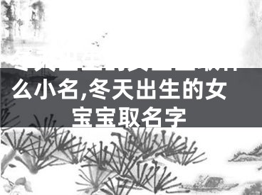 冬天出生的女宝宝取什么小名,冬天出生的女宝宝取名字