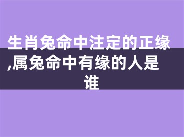 生肖兔命中注定的正缘,属兔命中有缘的人是谁