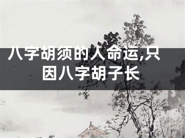 八字胡须的人命运,只因八字胡子长