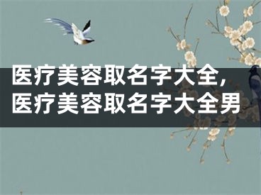 医疗美容取名字大全,医疗美容取名字大全男