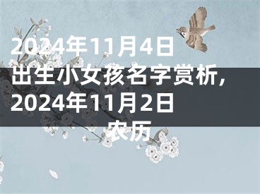 2024年11月4日出生小女孩名字赏析,2024年11月2日农历