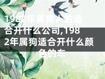 1982年属狗人的适合开什么公司,1982年属狗适合开什么颜色的车