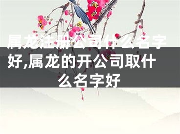 属龙注册公司什么名字好,属龙的开公司取什么名字好