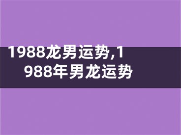 1988龙男运势,1988年男龙运势