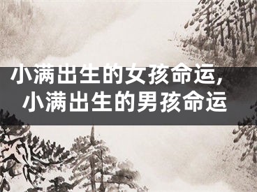 小满出生的女孩命运,小满出生的男孩命运