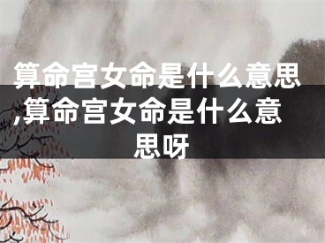 算命宫女命是什么意思,算命宫女命是什么意思呀