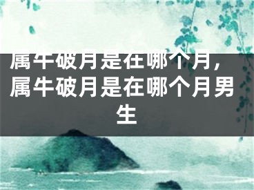 属牛破月是在哪个月,属牛破月是在哪个月男生