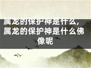属龙的保护神是什么,属龙的保护神是什么佛像呢