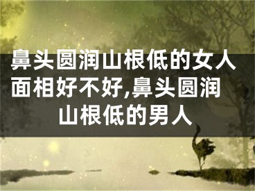 鼻头圆润山根低的女人面相好不好,鼻头圆润山根低的男人