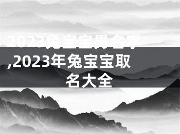 2023兔宝宝男名字,2023年兔宝宝取名大全