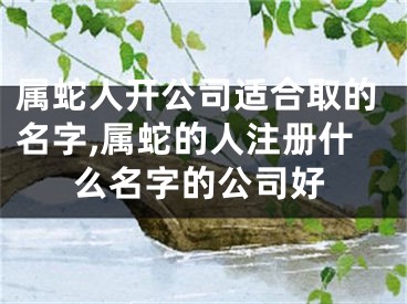 属蛇人开公司适合取的名字,属蛇的人注册什么名字的公司好