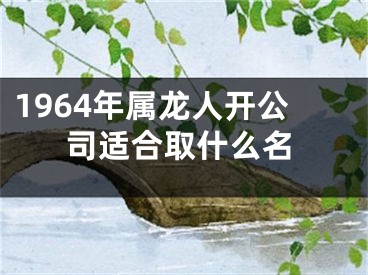 1964年属龙人开公司适合取什么名