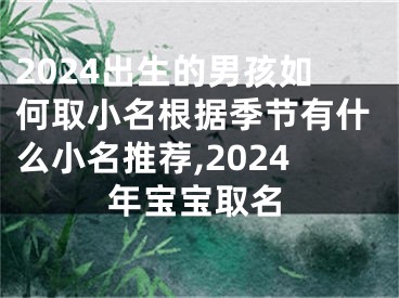 2024出生的男孩如何取小名根据季节有什么小名推荐,2024年宝宝取名