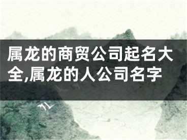 属龙的商贸公司起名大全,属龙的人公司名字