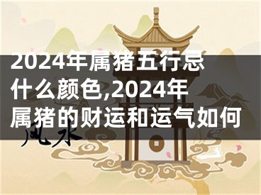 2024年属猪五行忌什么颜色,2024年属猪的财运和运气如何