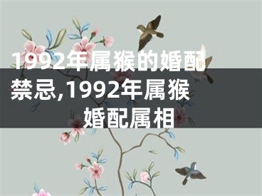 1992年属猴的婚配禁忌,1992年属猴婚配属相