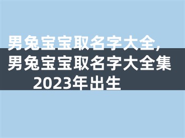 男兔宝宝取名字大全,男兔宝宝取名字大全集2023年出生