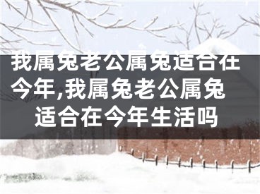 我属兔老公属兔适合在今年,我属兔老公属兔适合在今年生活吗