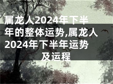 属龙人2024年下半年的整体运势,属龙人2024年下半年运势及运程