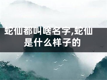 蛇仙都叫啥名字,蛇仙是什么样子的