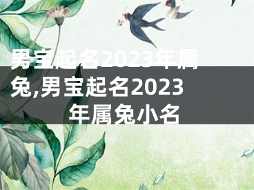 男宝起名2023年属兔,男宝起名2023年属兔小名