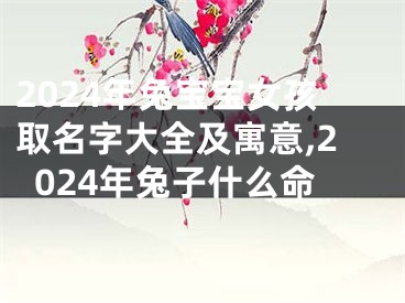 2024年兔宝宝女孩取名字大全及寓意,2024年兔子什么命