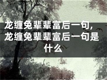 龙缠兔辈辈富后一句,龙缠兔辈辈富后一句是什么