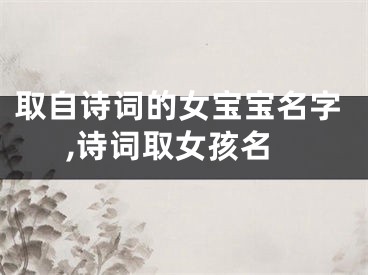 取自诗词的女宝宝名字,诗词取女孩名