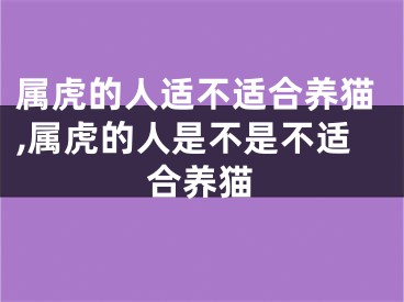 属虎的人适不适合养猫,属虎的人是不是不适合养猫