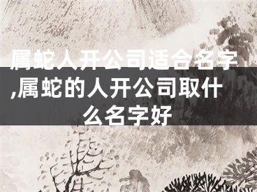 属蛇人开公司适合名字,属蛇的人开公司取什么名字好