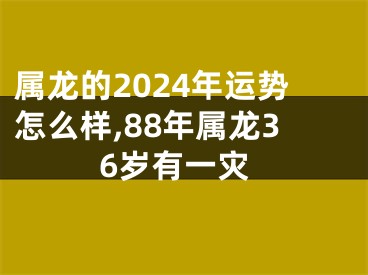 属龙的2024年运势怎么样,88年属龙36岁有一灾