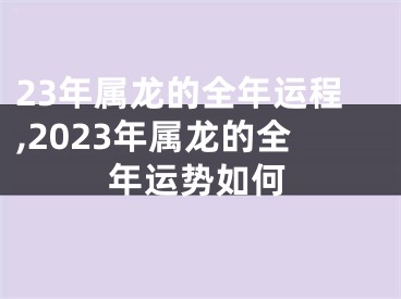 23年属龙的全年运程,2023年属龙的全年运势如何