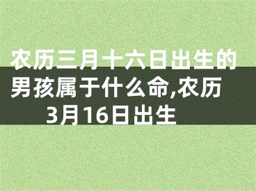 农历三月十六日出生的男孩属于什么命,农历3月16日出生