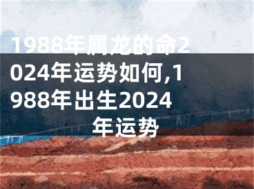 1988年属龙的命2024年运势如何,1988年出生2024年运势