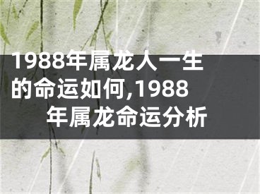 1988年属龙人一生的命运如何,1988年属龙命运分析
