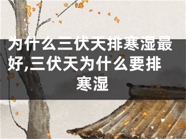 为什么三伏天排寒湿最好,三伏天为什么要排寒湿